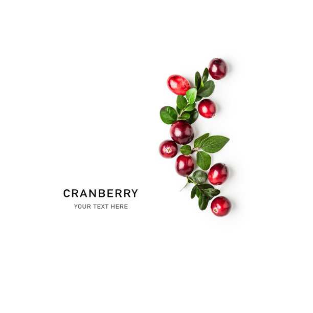 蔓越莓创造性的布局图片下载