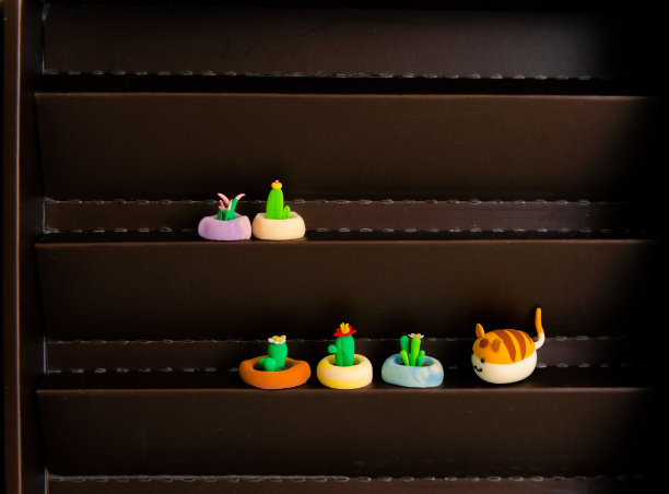 各种美丽的植物:由聚合物粘土制成的植物图片下载