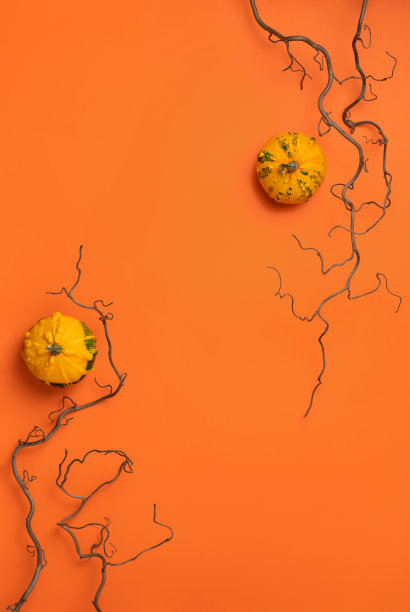 明亮的橙色背景上有两个装饰性的小南瓜和令人毛骨悚然的光秃秃的树枝。万圣节快乐，有文字复制空间。季节性秋季假日作文。垂直平铺，俯视图图片下载