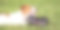 顽皮可爱的小狗小狗坐在草地上，咬着一只鞋图片下载