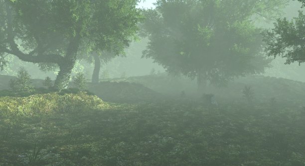 雾蒙蒙的森林雾霾景观3d插图图片下载