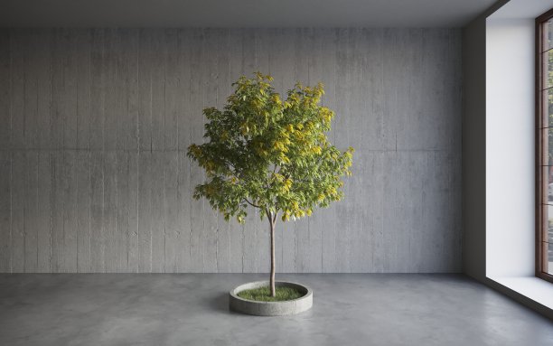 绿色的装饰树生长在水泥罐中，灰色的墙壁背景。3D插图，cg渲染图片下载