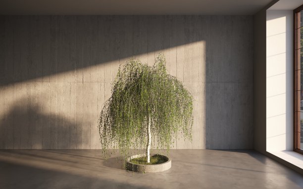 绿色的装饰树生长在水泥罐中，灰色的墙壁背景。3D插图，cg渲染图片下载