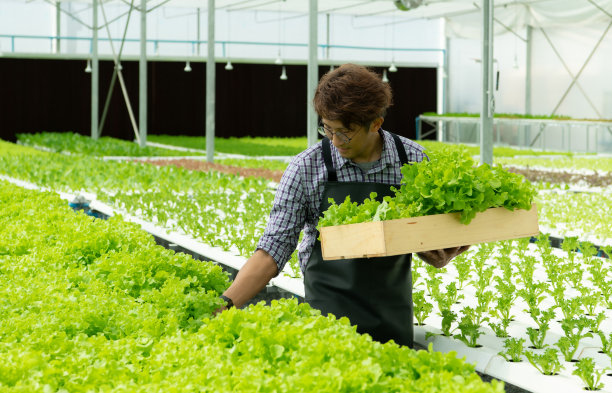 新一代的亚洲年轻人用有机蔬菜图片下载