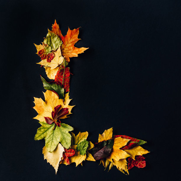 由秋叶组成的英文字母。在黑色背景上设计的字体。图片下载