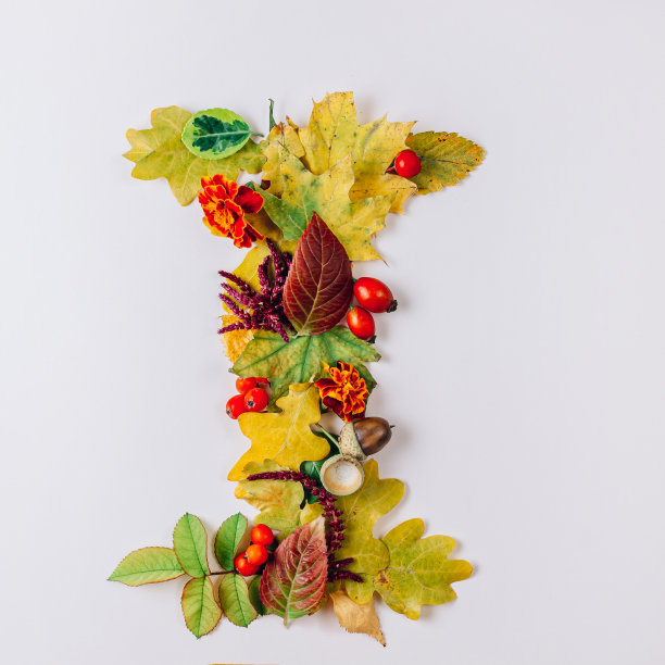 由秋叶组成的英文字母。在米色背景上设计的字体。图片下载