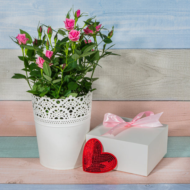 白色花瓶里的玫瑰花束，木制背景上的白色盒子里的情人节礼物图片下载
