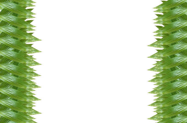 在白色背景上放置元素。图片下载