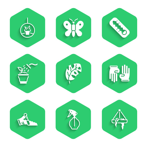 设置热带叶子水喷雾瓶植物图片下载