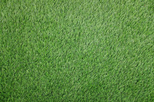 柔软的人造草被用作背景概念。图片下载