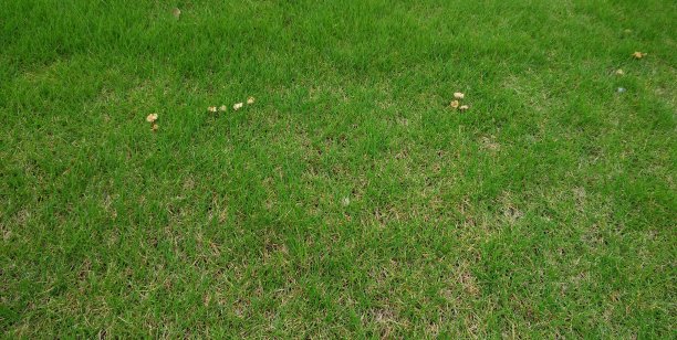 日本旅游拍摄的照片图片下载