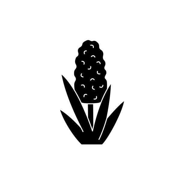 风信子色线图标。精油。象形图网页，移动应用程序，促销。图片下载