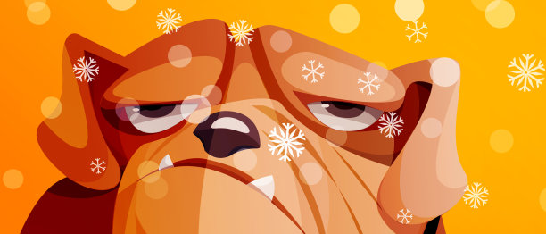 圣诞快乐!创意节日贺卡与狗的图片在喜庆的彩色背景。图片下载