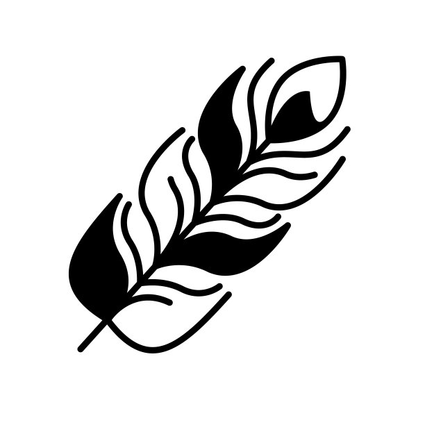 羽毛图标矢量设计模板图片下载