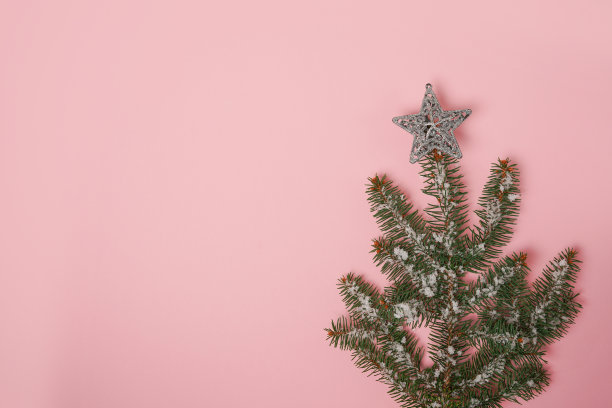 淡粉色背景上的圣诞树。圣诞节、冬天、新年概念。本空间图片下载