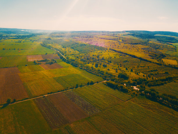 美丽温暖的风景照片与一些农田。农村的场景。图片下载