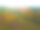 美丽温暖的风景照片与一些农田。农村的场景。图片下载