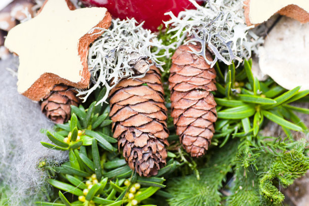 冬天的圣诞节安排与松果和星星图片下载