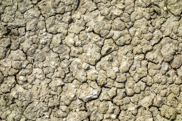 了地球图片下载