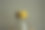 玻璃瓶上的黄色盖子。玻璃水瓶。图片下载