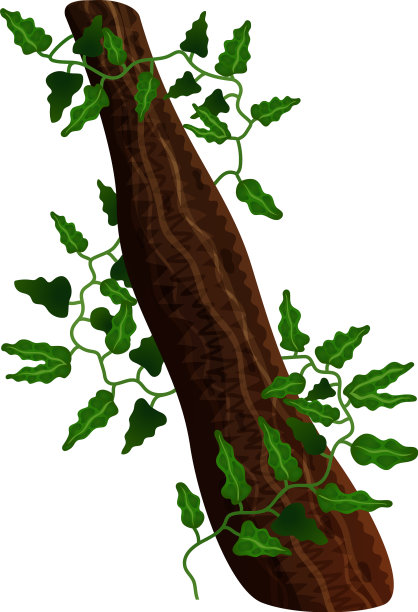 热带树干成分图片下载