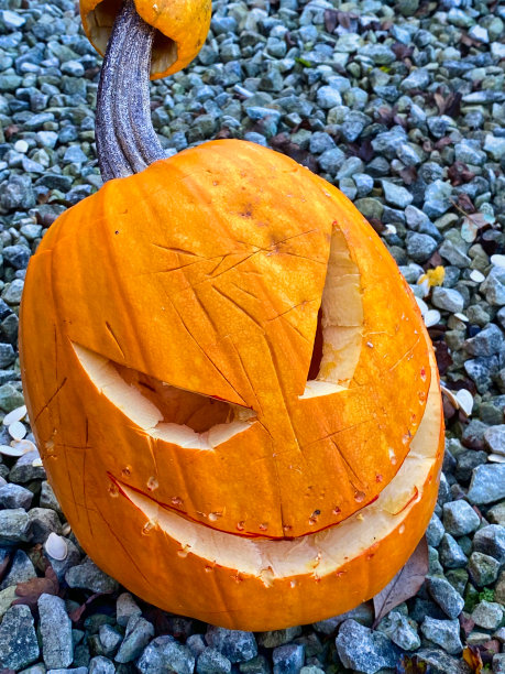 万圣节南瓜图片下载