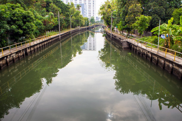 许多大树沿着城市的排水运河图片下载