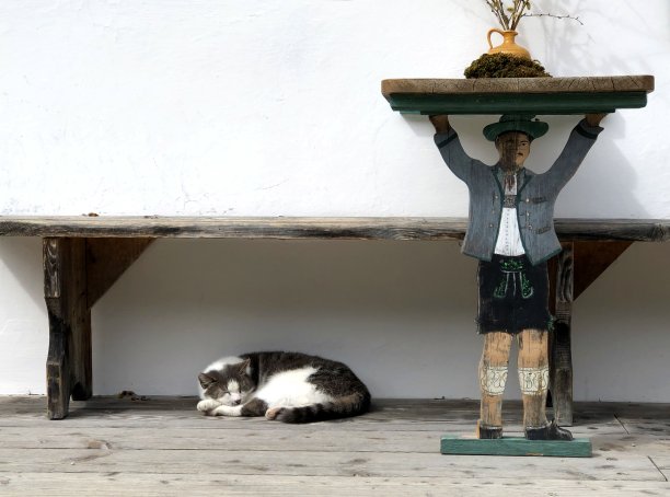 一只猫睡在木凳下，旁边是一个Bayernish雕刻图片下载