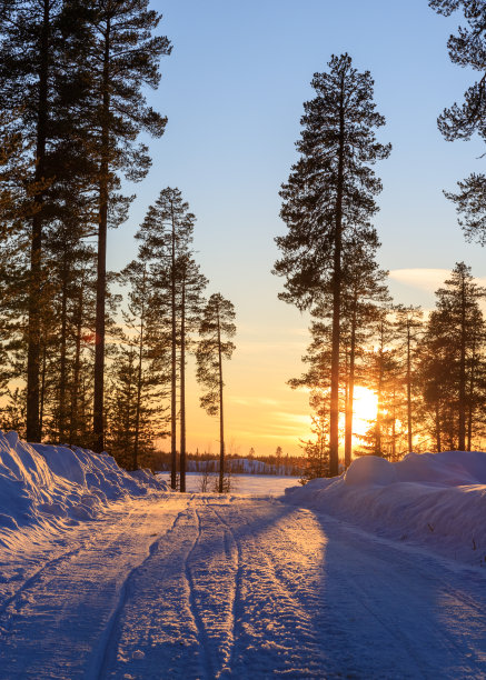 瑞典冬季景色中的日落图片下载