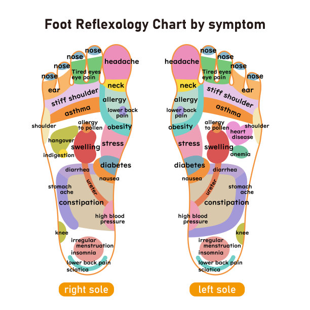 根据症状说明脚底反射区域和穴位图片下载