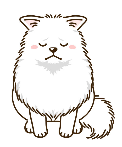 悲伤的博美犬(白色皮毛)图片下载