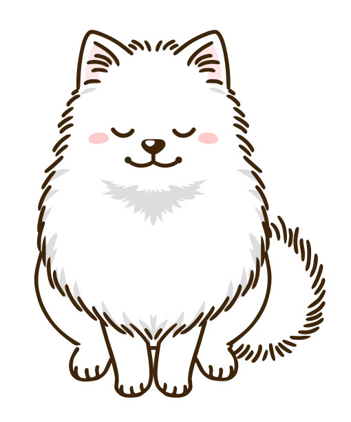 博美犬的问候(白色皮毛)图片下载