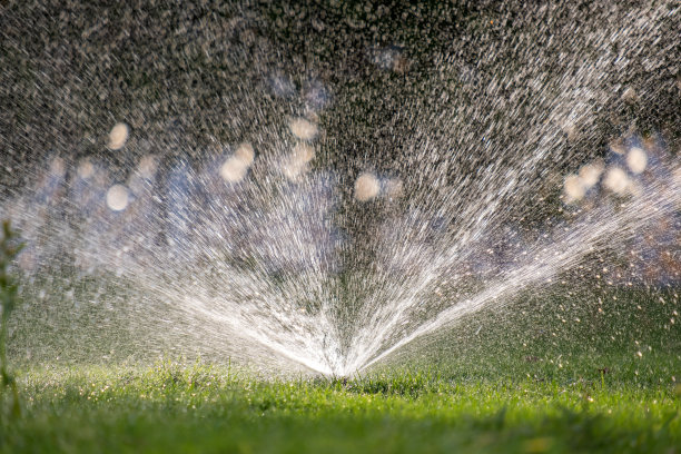 夏季花园用塑料喷灌机用水浇灌草坪。在旱季浇灌绿色植物，保持其新鲜。图片下载