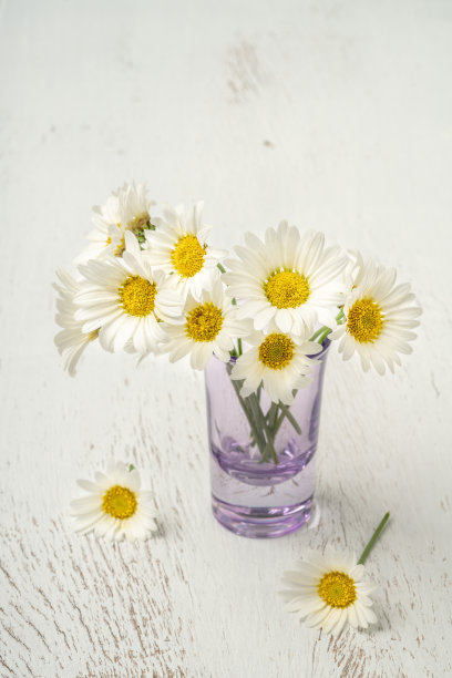 木桌上花瓶里的雏菊花图片下载