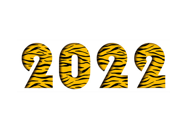 2022年虎纹图案插画素材图片