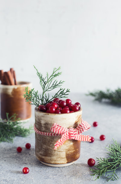 碗里放着新鲜的蔓越莓和冷杉树枝图片下载