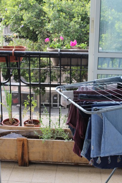晾晒的衣物、花盆和城市景观窗户图片下载
