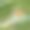 彩色手绘水粉画抽象纹理背景。图片下载