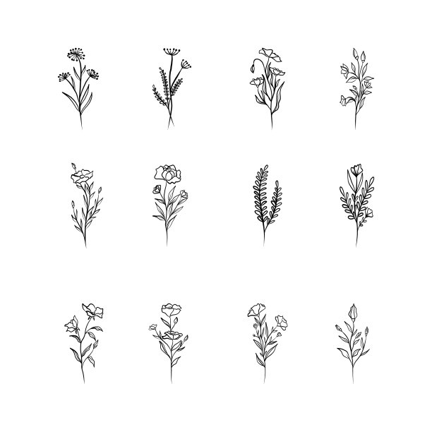 向量花卉设计元素集。图片下载