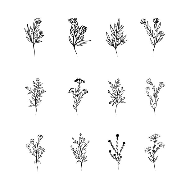 向量花卉设计元素集。图片下载