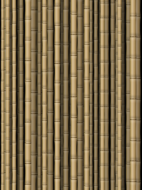 竹子的背景图片下载