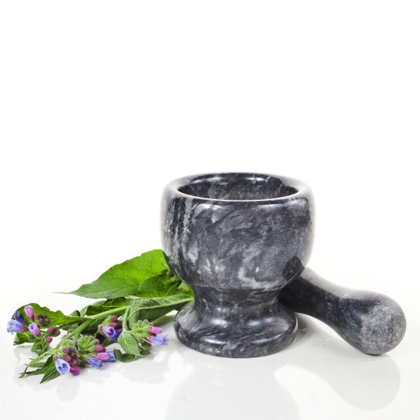 石臼里的普通聚合草(石臼草属图片下载