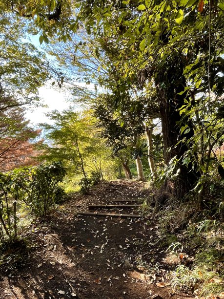 早上走图片下载