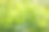 植物的叶子上覆盖着晨霜。照片拍摄于深秋图片下载