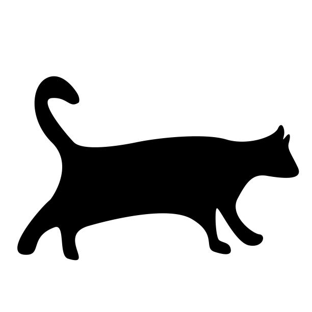 猫黑色影子背影暗影图片下载