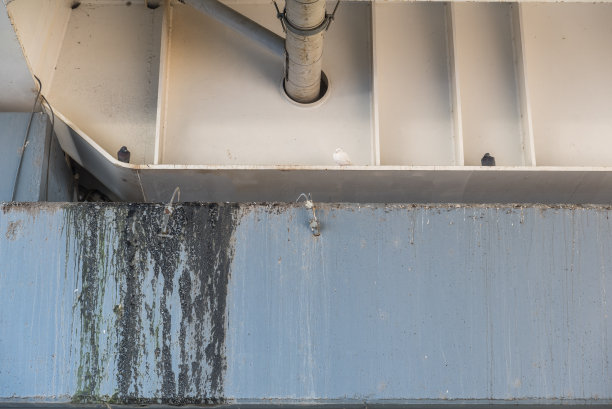 桥下鸽子和鸟儿睡觉的结构支撑柱的一部分被鸟粪弄脏了。图片下载