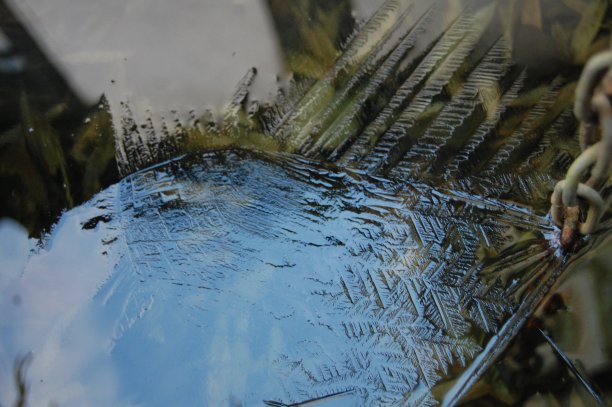 这看起来很超现实——但这是自然形成的冰纹。图片下载