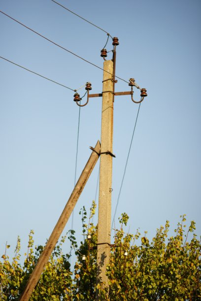 在蔚蓝的天空中，树旁有电线的电线杆图片下载