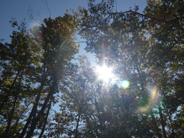 美国军事基地遗址的自然和遗迹。图片下载