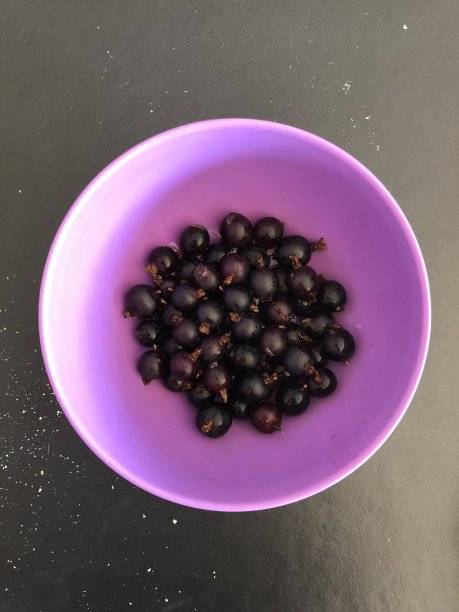 碗里的蓝莓图片下载